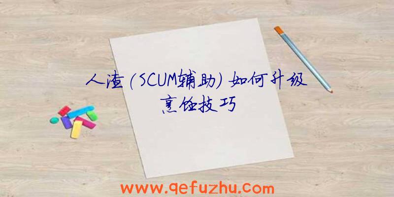 人渣(SCUM辅助)
